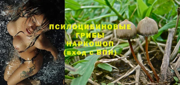 соль курить ск Алзамай